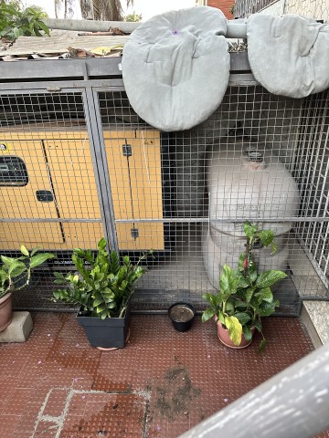 Venda Gerador CAT Olympia GEP-33-3