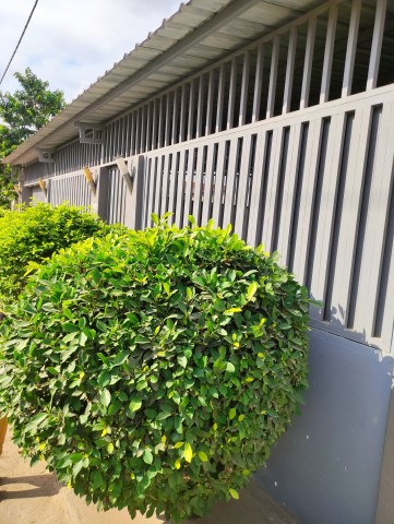 Venda Estou a vender a minha casa