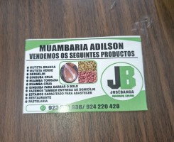 A venda EMPRESA JOSÉ BANGA