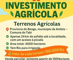 Comprar Vende-se terrenos agrícolas próximo do Rio, cada hectare 150mil KZ, venda apenas apartir de 100Hectares