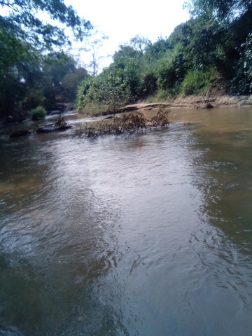 Venda Vende-se terrenos agrícolas próximo do Rio, cada hectare 150mil KZ, venda apenas apartir de 100Hectares