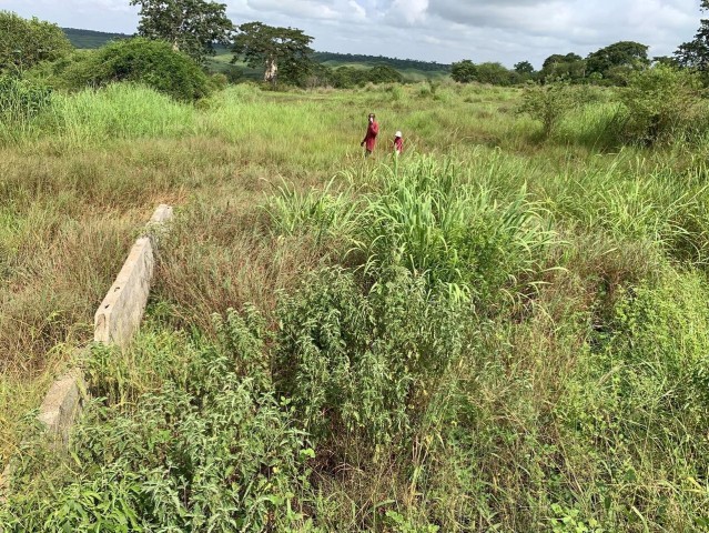 Venda Terreno - 4 Hectares no Bom Jesus