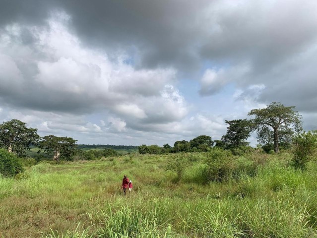 Venda Terreno - 4 Hectares no Bom Jesus