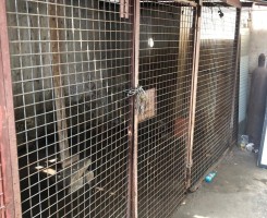 A venda ARRENDA-SE APARTAMENTO T3