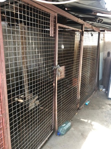 Venda ARRENDA-SE APARTAMENTO T3