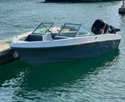 A venda LANCHA + MOTOR SUZUKI 115HP PRONTA A NAVEGAR LUANDA