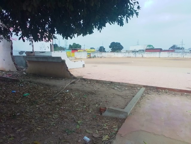 Venda DOIS HECTARES EM VIANA