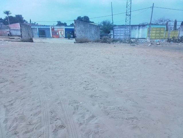 Venda DOIS HECTARES EM VIANA