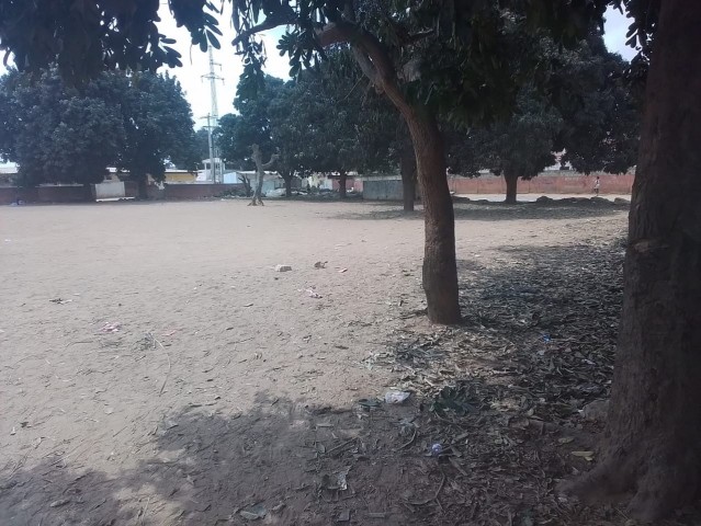 Venda DOIS HECTARES EM VIANA