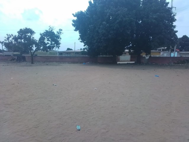 Venda DOIS HECTARES EM VIANA