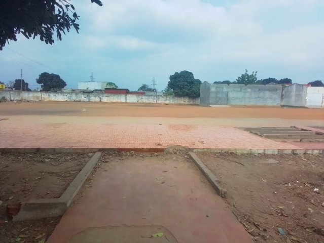 Venda DOIS HECTARES EM VIANA