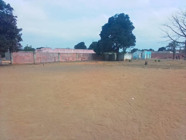 Venda DOIS HECTARES EM VIANA