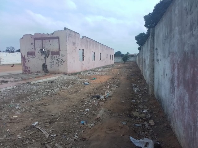 Venda DOIS HECTARES EM VIANA