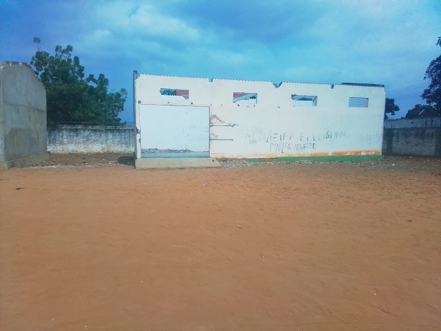 Venda DOIS HECTARES EM VIANA
