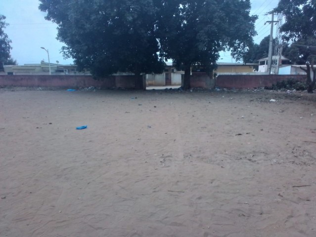 Venda DOIS HECTARES EM VIANA