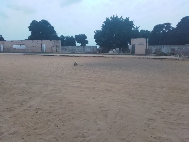 Venda DOIS HECTARES EM VIANA