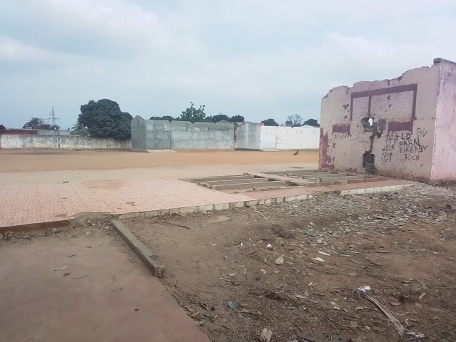 Venda DOIS HECTARES EM VIANA