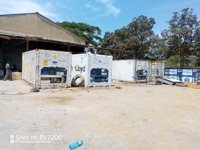 Venda Contentores Frigoríficos em bom estado