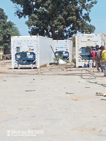 Venda Contentores Frigoríficos em bom estado