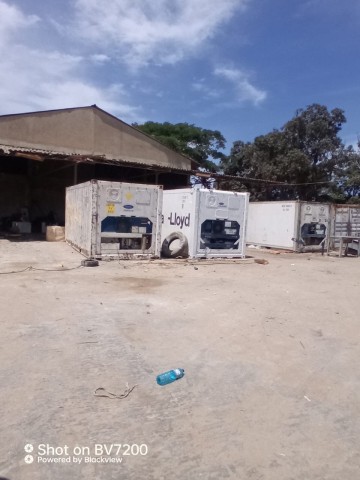 Venda Contentores Frigoríficos em bom estado