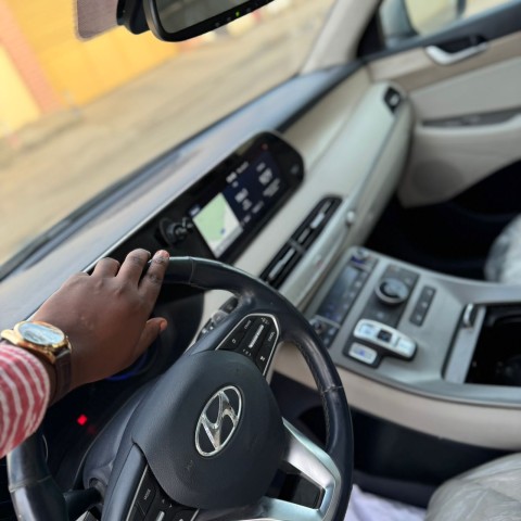 Venda HYUNDAI PALISADE RECÉM CHEGADO FULL OPTION LIMPO