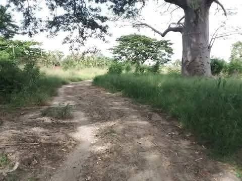 Venda Venda de Hectares agrícolas no BENGO