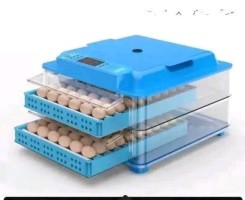 Comprar Chocadeira Automática