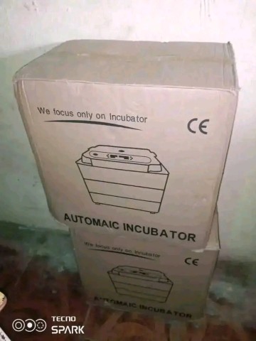 Venda Chocadeira Automática