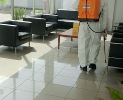 Comprar Desinfestação