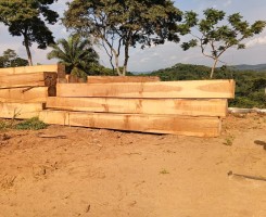 Comprar Madeira Moreira (Iroko) de Alta Qualidade 1.000 m³ Disponíveis | Ideal para Construção e Carpintaria