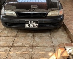 A venda Carina E
