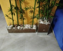 A venda Vasos para bambou de vidro
