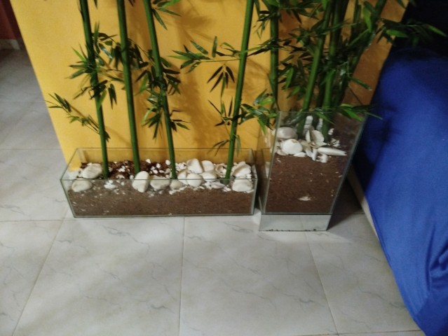 Venda Vasos para bambou de vidro