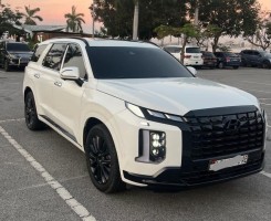 A venda HYUNDAI PALISADE