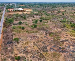 Comprar TERRENO DE 65 HECTARES MUNICÍPIO DE CATETE