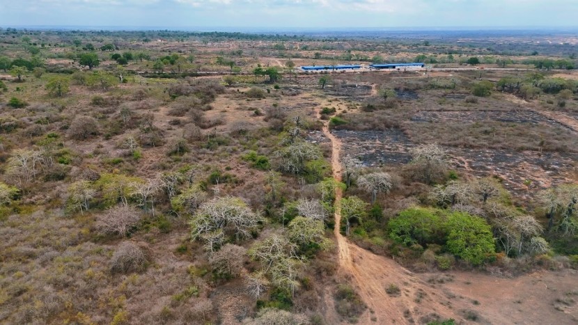 Venda TERRENO DE 65 HECTARES MUNICÍPIO DE CATETE
