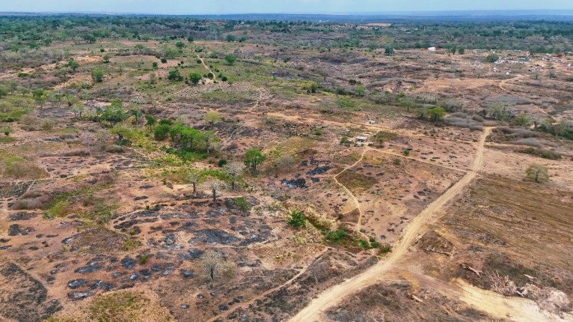Venda TERRENO DE 65 HECTARES MUNICÍPIO DE CATETE