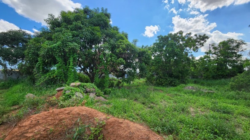 Venda TERRENO À BEIRA ESTRADA KM 36, PRÓ AO AEROPORTO DR. ANTÓNIO AGOSTINHO NETO