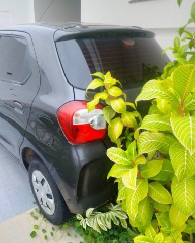 Venda SUZUKI ALTO