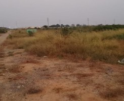 Comprar TERRENO (HECTARES) | SEQUELE