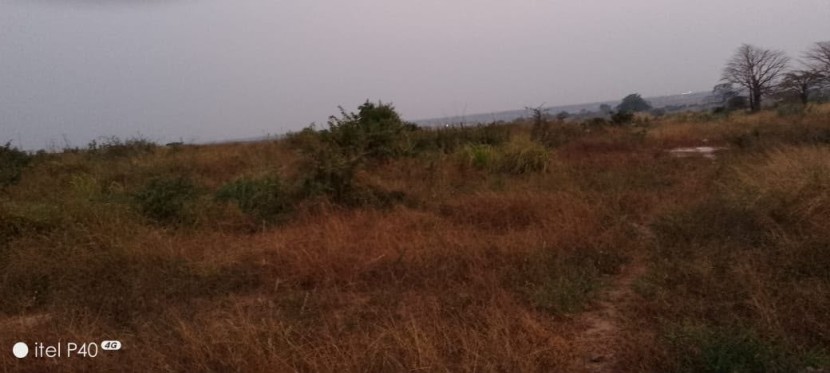 Venda TERRENO (HECTARES) | SEQUELE