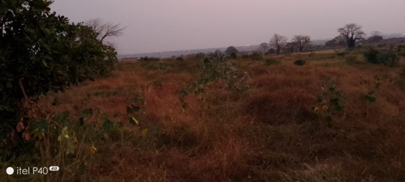 Venda TERRENO (HECTARES) | SEQUELE