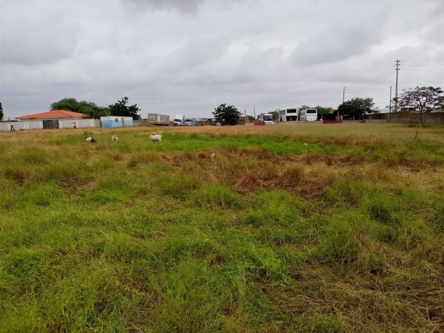 Terreno de 60/50 no Benfica