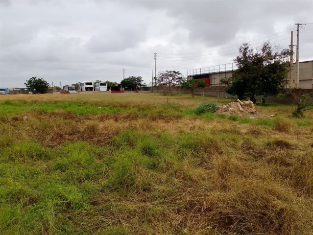 Terreno de 60/50 no Benfica